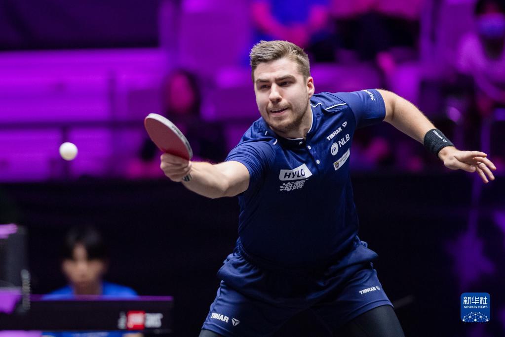 进步无疑佐 进步无疑佐